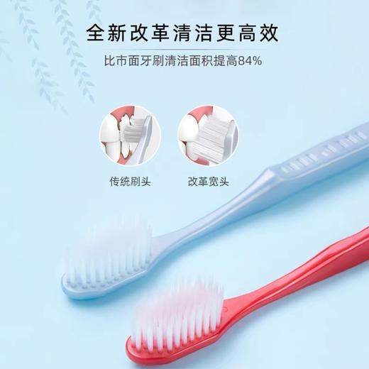 日本进口Clesh双重植毛牙刷超细毛/宽头 1支装 颜色随机 商品图2