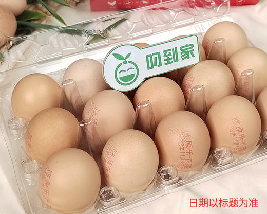 【到手2盒】悠原×乐子山养土鸡蛋（头窝蛋）/1份（450g*2盒，每盒15枚） 商品图4
