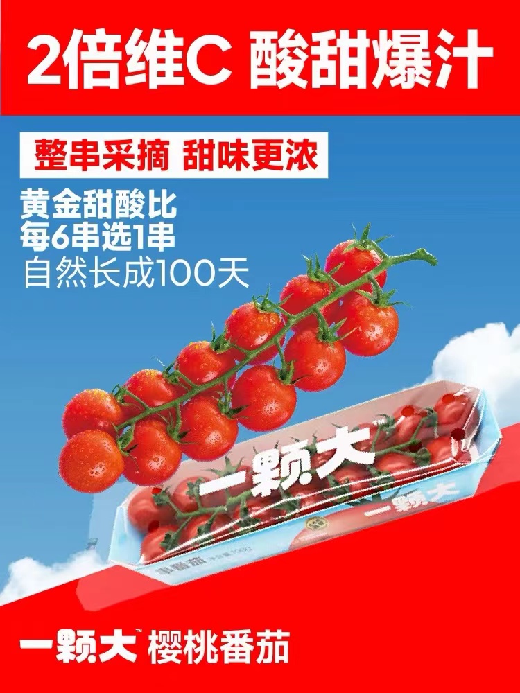 一颗大串收樱桃小番茄