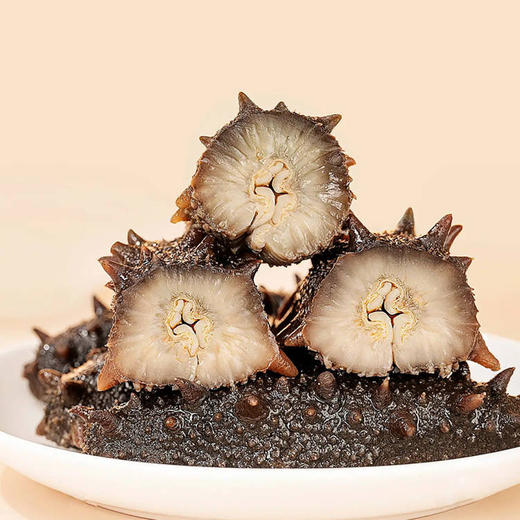 鲜灵岛淡干海参50g-200g多规格可选 商品图4