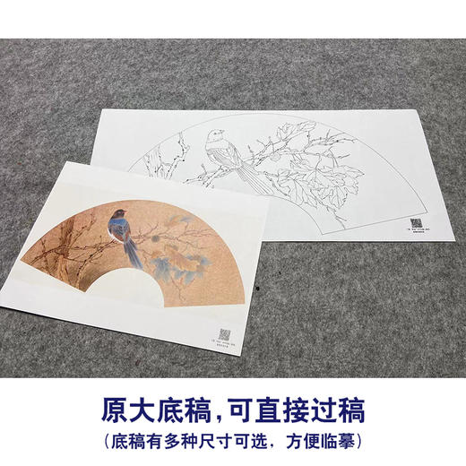 【大彩图】张建军工笔画白描底稿扇面小品绶带鸟临摹勾线花鸟线稿A344 商品图1