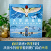 天空的礼物：来自大自然的仿生发明 商品缩略图2