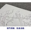 【大彩图】张建军工笔画白描底稿扇面小品绶带鸟临摹勾线花鸟线稿A344 商品缩略图4