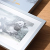 悠然自得银版画10g 商品缩略图3