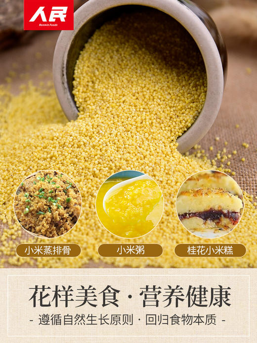 人民食品 黄金苗小米880g 商品图4