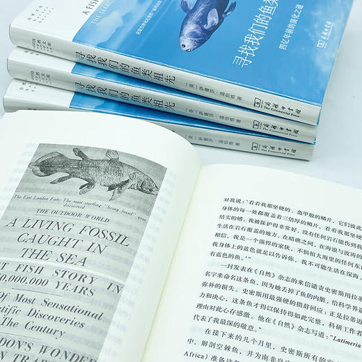 寻找我们的鱼类祖先：四亿年前的演化之谜（自然文库） [英]萨曼莎·温伯格 著 卢静 译 商务印书馆 商品图4