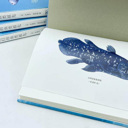 寻找我们的鱼类祖先：四亿年前的演化之谜（自然文库） [英]萨曼莎·温伯格 著 卢静 译 商务印书馆 商品图5