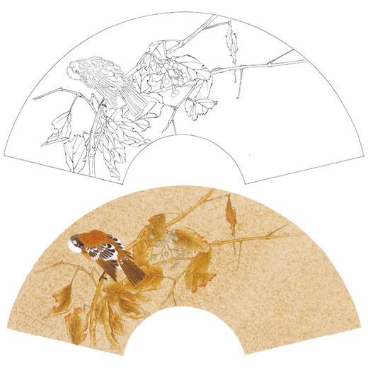 【大彩图】张建军工笔画白描底稿扇面小品临摹勾线花鸟线稿A369 商品图0
