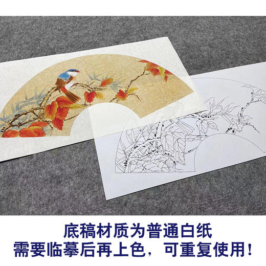 【大彩图】张建军工笔画白描底稿扇面小品红叶临摹勾线花鸟线稿A345 商品图3