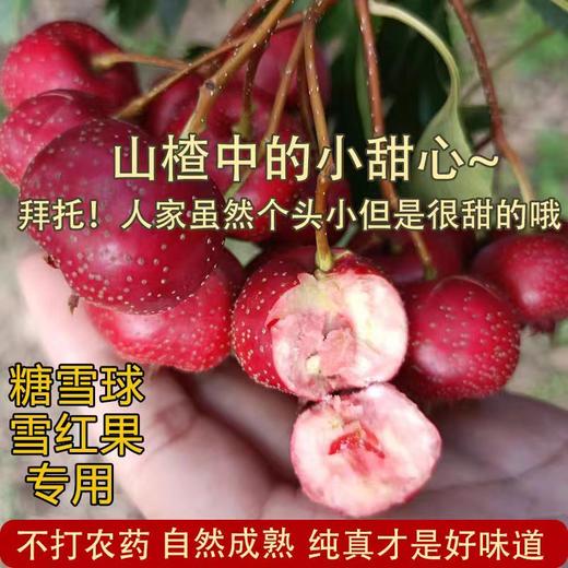 【哈尔滨同城配送】生态富硒小甜甜山楂，保留山楂本有的风味，酸酸甜甜，酸中带着甜，空口吃都好吃 商品图0