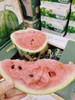 味知果西瓜一个（拼团） 商品缩略图2