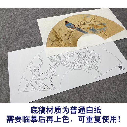 【大彩图】张建军工笔画白描底稿扇面小品绶带鸟临摹勾线花鸟线稿A344 商品图3