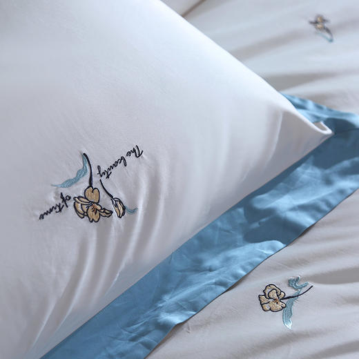 【黛富妮】100支长绒棉四件套  初见 商品图4