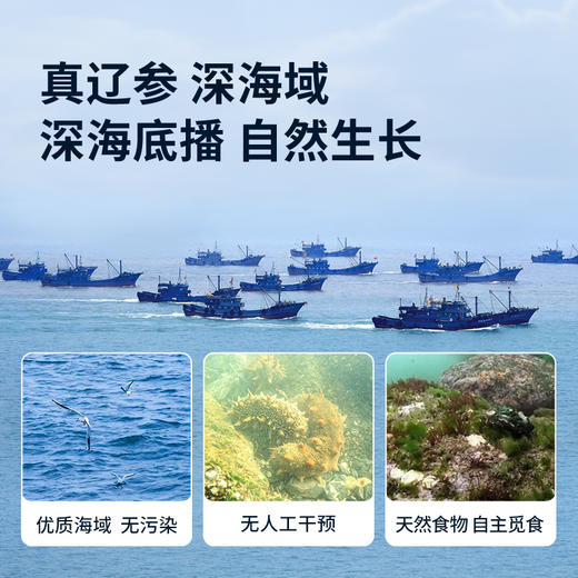 白云山广药大健康 天然海场 精挑优质海参 淡干海参120g（60头）礼盒装 商品图1