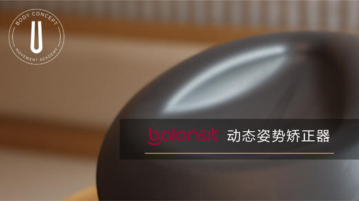 Balansit® 动态姿势矫正器课程 商品图0