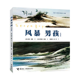 风暴男孩:英潘版--接力社