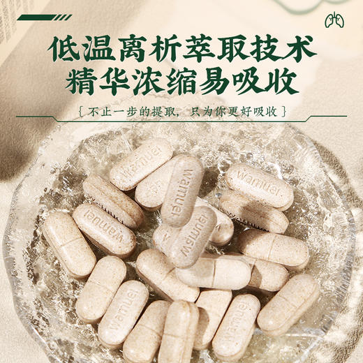 【买2送1 买3送2】初草堂多元麦冬须根含片  北京大学药学院研发 华西医院临床验证 15味草本 药食同源 40粒/瓶 商品图6