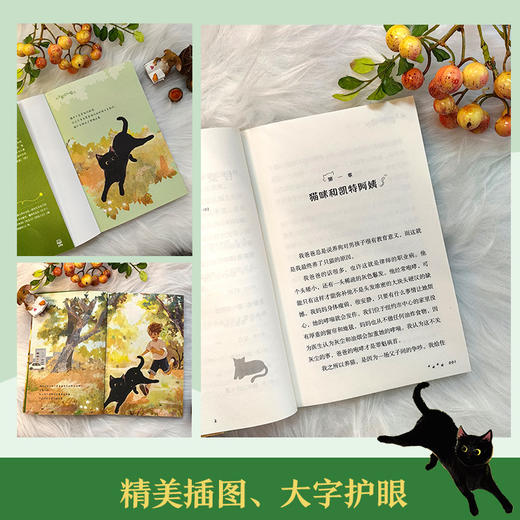 少年戴维和猫   5年级正版现货速发|名师推荐|小学生课外阅读五年级 商品图2