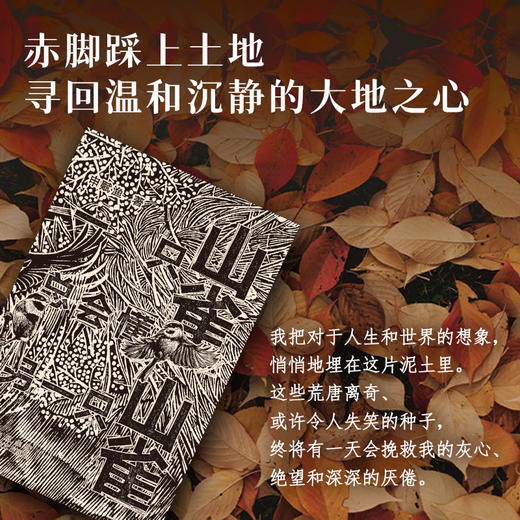 一只山雀总会懂另一只山雀 商品图1