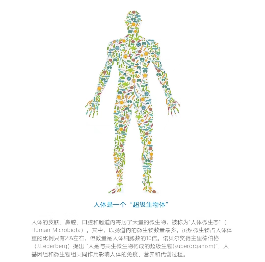 肠道菌群检测