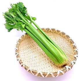 桂河芹菜芯
