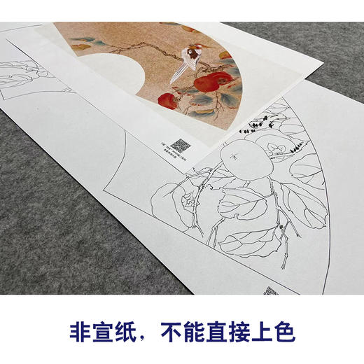 【大彩图】张建军工笔画白描底稿扇面小品《柿子》鹦鹉临摹勾线花鸟线稿A349 商品图2