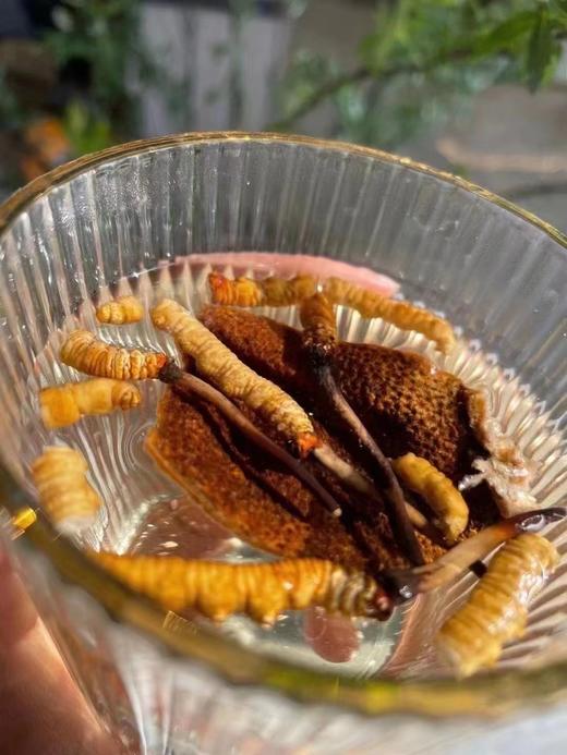 【免疫组合】特大断草10g+2019新会梅江陈皮100g 商品图2