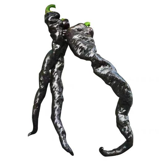 紫螺丝椒 商品图0