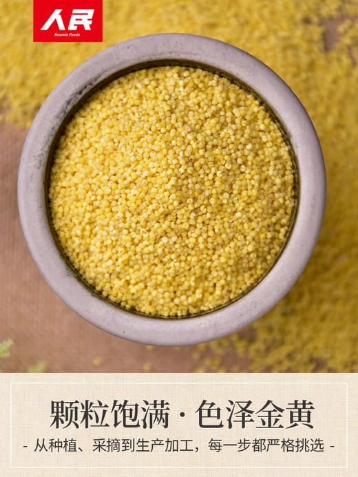 人民食品 黄金苗小米880g 商品图2