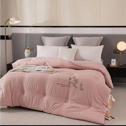 双人冬被 商品图0