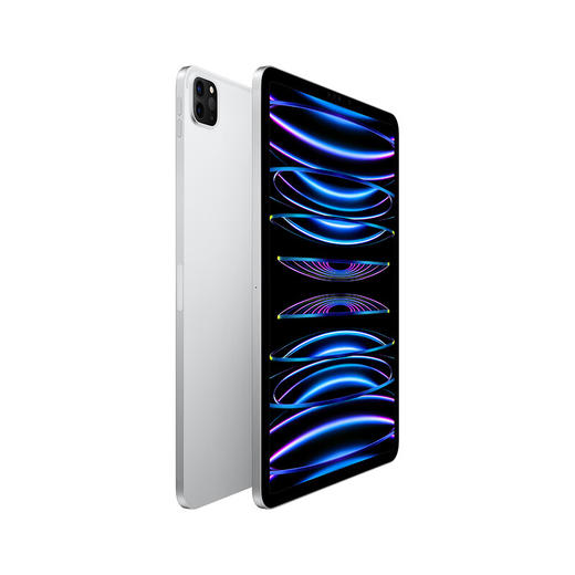 iPad Pro 11英寸 商品图1