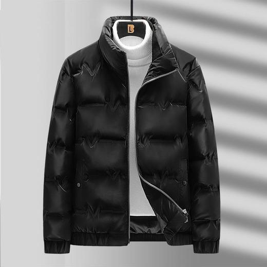 白鸭绒男士羽绒服冬季新款简约百搭立领轻薄保暖休闲上衣外套 商品图1