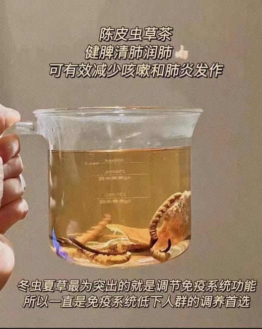 【免疫组合】特大断草10g+2019新会梅江陈皮100g 商品图1