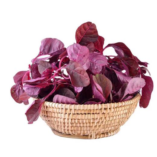 紫菠菜 商品图0