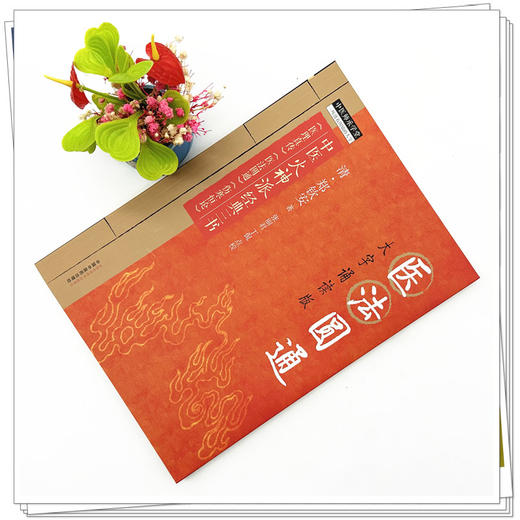 医法圆通 大字诵读版 (清)郑钦安 著 中医火神派经典三书 中国中医药出版社 中医师承学堂 临床 书籍 医理真传 医法圆通 伤寒恒论 商品图1