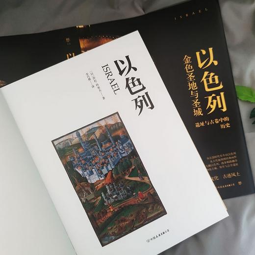 失落的文明：以色列（古迹地图折页，金色圣地的千年历史，文明十字路口的古代遗迹。精装全彩印刷，400余幅珍贵图片） 商品图5