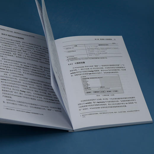 不学编程做R统计分析 图形界面R Commander官方手册 商品图1