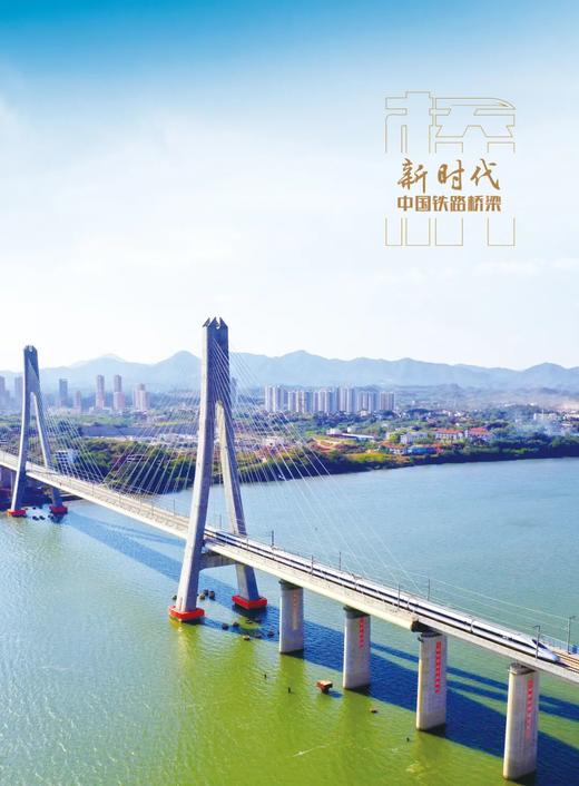30738-7  新时代中国铁路桥梁 商品图1