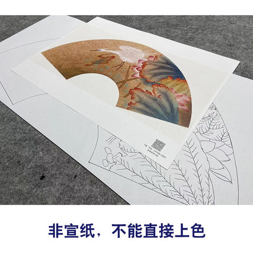 【大彩图】张建军工笔画白描底稿扇面小品《荷花白鹭》临摹勾线花鸟线稿A341 商品图2