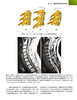 疼痛的症状与体征图解 第4版 附视频 樊碧发主译 疼痛性疾病全方位体格检查图谱 操作过程指导 北京大学医学出版社9787565929472 商品缩略图3