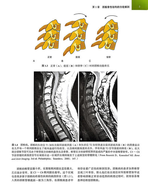 疼痛的症状与体征图解 第4版 附视频 樊碧发主译 疼痛性疾病全方位体格检查图谱 操作过程指导 北京大学医学出版社9787565929472 商品图3