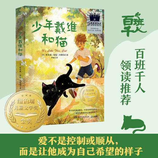 少年戴维和猫   5年级正版现货速发|名师推荐|小学生课外阅读五年级 商品图1