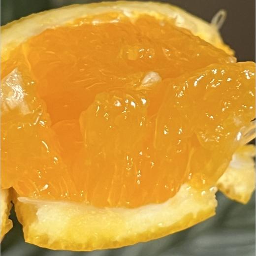 湖北秭归沐兮|橙子上市啦；北纬30度，三峡边上红砂土生长的生态橙子，橙黄肉嫩，幼滑无渣水分足，韵味满满的，非常棒的橙子，重要时刻赶紧囤起来～ 商品图4