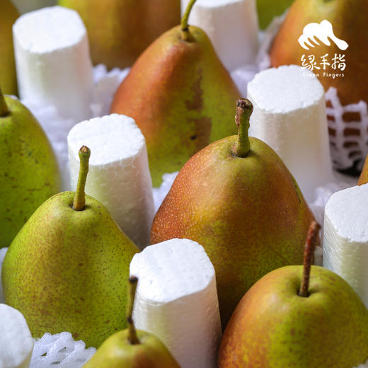 生态红香酥梨 | 合作生产 *Eco-Jade dew pear | Coproduction 商品图5