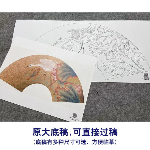 【大彩图】张建军工笔画白描底稿扇面小品《荷花白鹭》临摹勾线花鸟线稿A341 商品图1