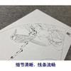 【大彩图】张建军工笔画白描底稿扇面小品《柿子》鹦鹉临摹勾线花鸟线稿A349 商品缩略图4
