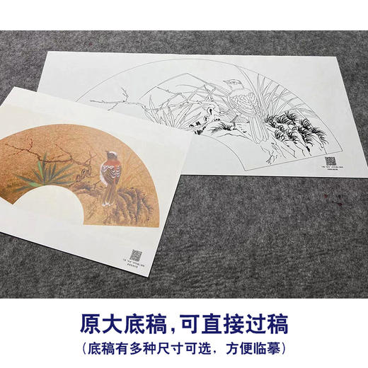 【大彩图】张建军工笔画白描底稿扇面小品临摹勾线花鸟线稿A350 商品图1