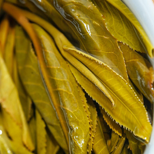 【奇香岭】2023年头春头采易武森林茶普洱茶生茶 香气迷人越陈越“香”200g/饼 拍5发6 商品图2