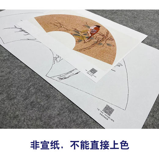 【大彩图】张建军工笔画白描底稿扇面小品临摹勾线花鸟线稿A342 商品图2