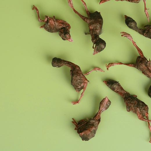 冻干小鹌鹑发腮长肉肉人参猫狗零食40克一袋装！全场满80元包邮 商品图2